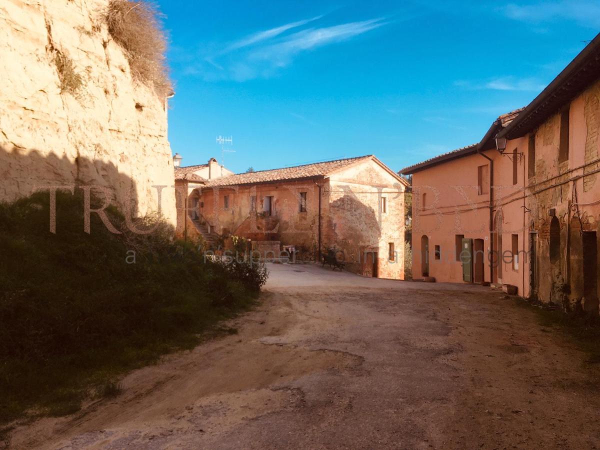San Giovanni dʼAssoTruffle'N'Bed住宿加早餐旅馆 外观 照片
